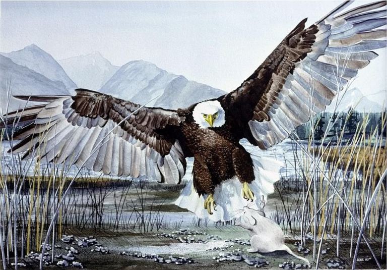 mouse flipping off eagle